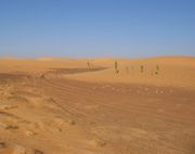 Traces of the Dakar Rally in Mauritania
