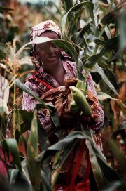 Women in Mozambique with maize