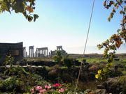 Apamea, Syria