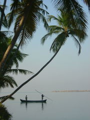 Fishing in Mukkah, near Mangalore