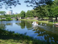 A summer day on the Charles River esplanade.