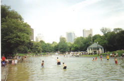 The Frog Pond in the Boston Common.
