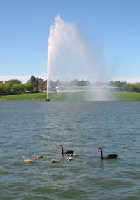 Captain Cook Fountain on Lake Burley Griffin