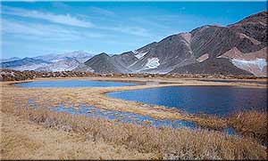View north across Saratoga Spring ponds to hills consisting of late Precambrian Pahrump Group rocks. White band is talc formed by reaction of dolomite with the black diabase enclosing it. A sill of diabase magma intruded between sedimentary layers of Crystal Spring Formation, now seen flanking the diabase at lower left. All units now tilt to east (right). The spring water rises along a fault and becomes ponded by fringing barrier dunes. (NPS archive image)