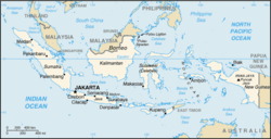 Indonesia, the former Dutch East Indies, had been a very valuable resource, and the Dutch feared its independence would lead to an economic downfall.