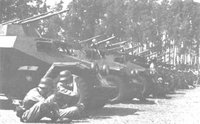 Sdkfz 222 armored cars in a German trained division