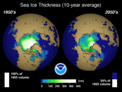 NOAA projects that by the 2050s, there will only be 54% of the volume of sea ice there was in the 1950s.