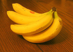 'Cavendish' bananas