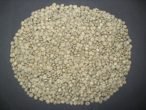 Unroasted coffee beans of the Coffea arabica variety, from Brazil