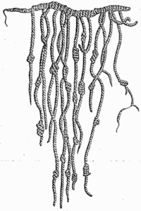 Representation of an Incan quipu