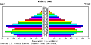 Population pyramid for China