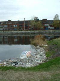The Lachine Canal, in Montreal, is badly polluted