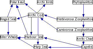 A food web, a generalization of the food chain, depicting the complex interrelationships among organisms in an ecosystem.