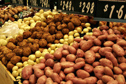 A variety of potatoes for sale