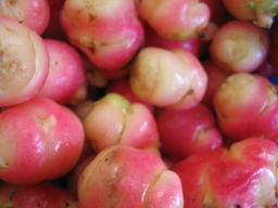 Raw oca tubers