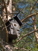 Birdbox is an artificial platform for birds to make a nest
