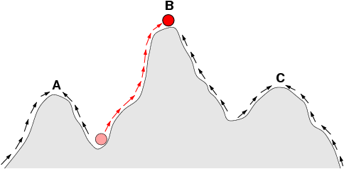 Figure 1: Sketch of a fitness landscape. The arrows indicate the preferred flow of a population on the landscape, and the points A, B, and C are local optima. The red ball indicates a population that moves from a very low fitness value to the top of a peak. Illustration by C.O. Wilke, 2001.