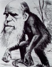 A typical satire was the later caricature in Hornet magazine portraying Darwin as an ape.