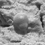 Photo of Microscopic rock forms indicating past signs of water, taken by Opportunity