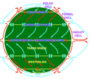 An idealised view of three large circulation cells.