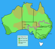 Shows areas of pure dingos (light brown) and hybrids (green), and location of the Dingo fence (purple) 