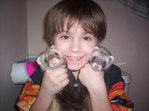 Child with ferrets