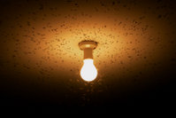 Flies attracted to a light in summer