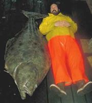 A large halibut with a fisher to its right