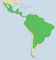 The range of the jaguar