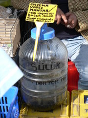 Medicinal leeches on the animal market in Istanbul
