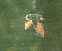 US NPS Photo by Joshua Nielsen