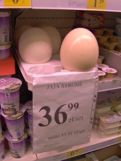Ostrich eggs for sale in a Polish supermarket
