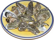 Raw oysters presented on a plate