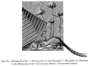 Pheasant Fowling.--"Showing how to catch Pheasants."--Fac-simile of a Miniature in the Manuscript of the "Livre du Roy Modus" (Fourteenth Century).