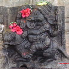 Ganesh riding on his mouse. Note the flowers offered by the devotees. A sculpture at the Vaidyeshwara temple at Talakkadu, Karnataka, India