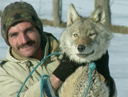 Although not common, man and wolf have been known to coexist with each other. This news image depicts an Iranian man with pet wolf.