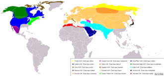 Original distribution of gray wolf subspecies.