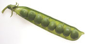 Pea pod