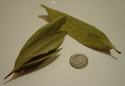 bay leaves