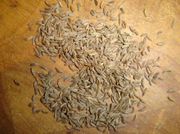 Caraway seeds
