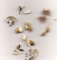 fruit and seeds
