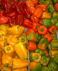 Assorted paprika fruits from Mexico