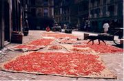 Chile peppers drying in Kathmandu, Nepal