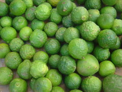 Kaffir limes on sale